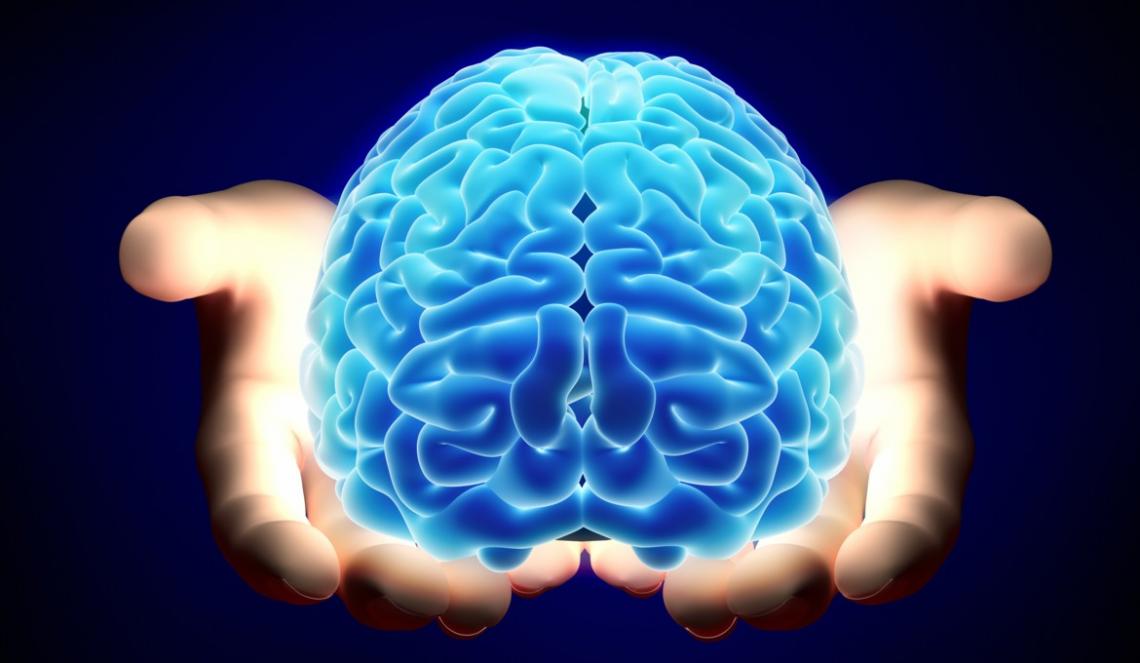 Imagen de un cerebro Imagen de un cerebro